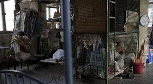 Wire Dwelling