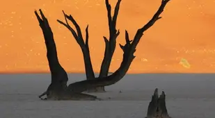 Surreal Landscapes Namibia