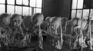 Creepy Dolls