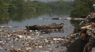 Polluted Banks