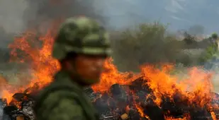 Mexican Drug War