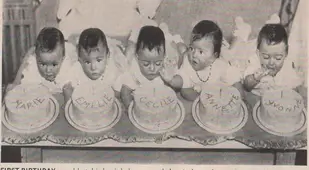 Cakes
