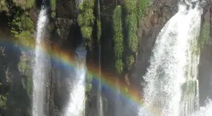 Iguaza Falls Rainbow Moss