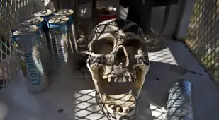 Skull Beers