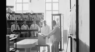 College Of Medicine