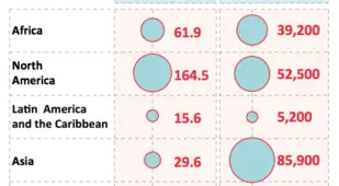 Drug Mortality Rate