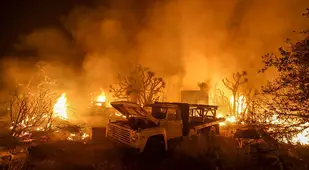 Wild Fire