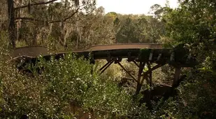 Disney's River Country