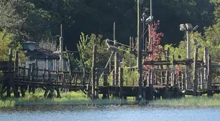 Abandoned River Country From Bay Lake