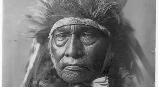 Bull Chief Apsaroke