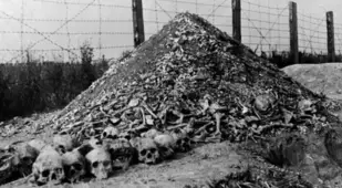 Pile Of Bones
