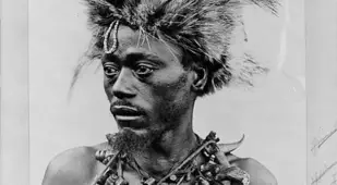 Witch Doctor