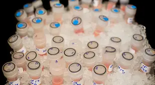 Cancer Test