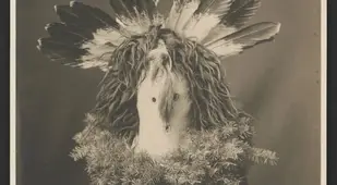 Native American Masks Feathers