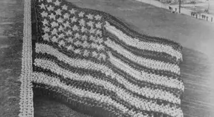 Living Photographs American Flag