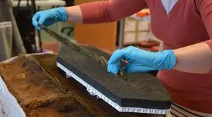 Bronze Sword