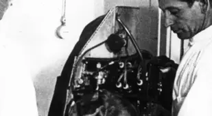 First Animals In Space Test