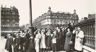 People Looking Skyward