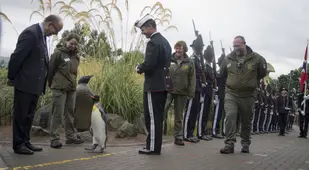 Smiling People Penguin
