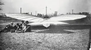 Whitehead On Ground