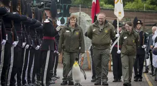 Brigadier Sir Nils Olav