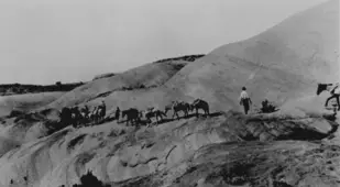 Discovery Party On Horseback