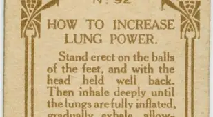 Increase Lung Power Back