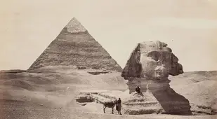 People Pyramid