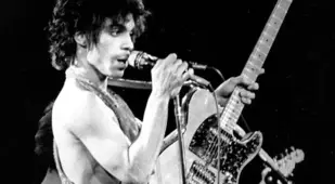 Best Prince Photos Underwear