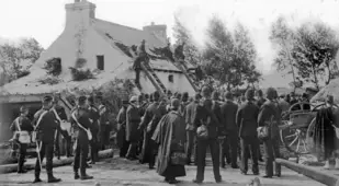 Dr Tullys House Ladders