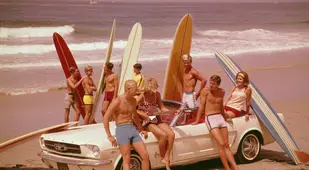 Surfboards On Display