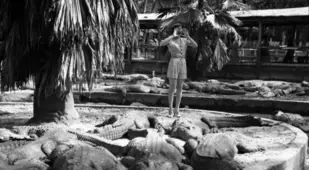Alligator Girl Playing