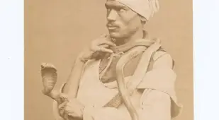 Egyptian Snake Charmer