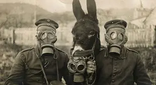 Gasmask Donkey