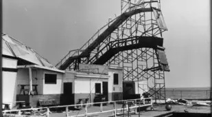 Horse Platform