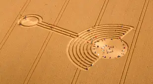People Standing In Alton Barnes Crop Circle