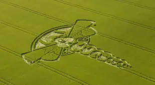 Yatesbury Dragonfly Crop Circle