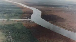 Agent Orange Defoliation Effects