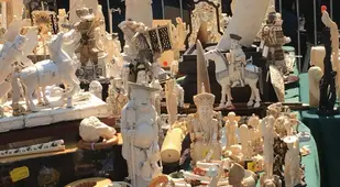 Confiscated Ivory
