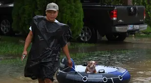 Innertube Dog