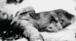 Joe Masseria Mob Hits