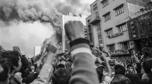 Revolution Fist