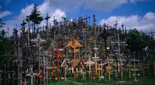 A Virtual Forest Of Crucifixes
