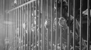 German and Belgian collaborators held in a lion's cage