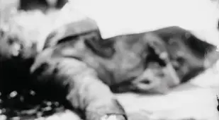 Joe Masserias Murder Scene