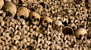 Closeup Of Skulls In The Paris Catacombs