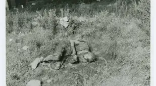 Irving Feinstein Body