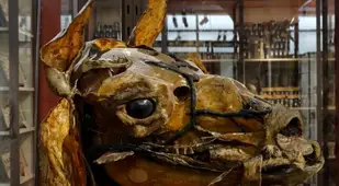 Llama Head