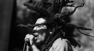 Marley With Dreads
