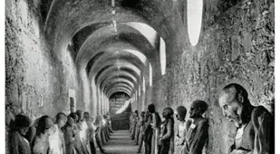Mummies In Crypt